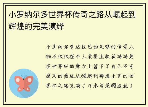 小罗纳尔多世界杯传奇之路从崛起到辉煌的完美演绎